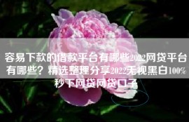 容易下款的借款平台有哪些2022网贷平台有哪些？精选整理分享2022无视黑白100%秒下网贷网贷口子