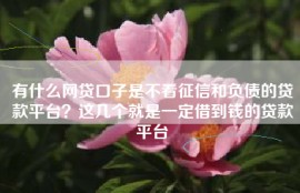 有什么网贷口子是不看征信和负债的贷款平台？这几个就是一定借到钱的贷款平台