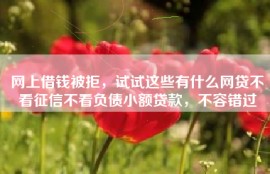 网上借钱被拒，试试这些有什么网贷不看征信不看负债小额贷款，不容错过