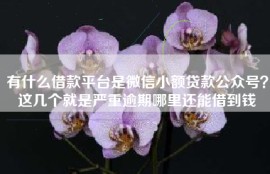 有什么借款平台是微信小额贷款公众号？这几个就是严重逾期哪里还能借到钱