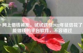 网上借钱被拒，试试这些2022年征信花了能借钱的平台软件，不容错过