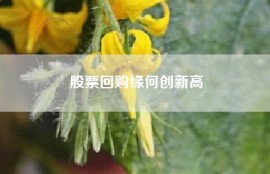 股票回购缘何创新高
