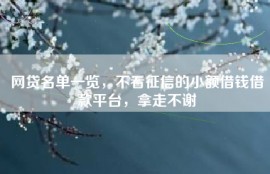 网贷名单一览，不看征信的小额借钱借款平台，拿走不谢