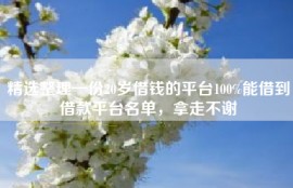 精选整理一份20岁借钱的平台100%能借到借款平台名单，拿走不谢