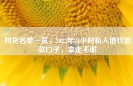 网贷名单一览，2022年24小时私人借钱借款口子，拿走不谢