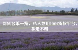 网贷名单一览，私人急用10000贷款平台，拿走不谢