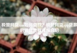极赞网贷app如何贷款？极赞网贷app贷款的操作流程详细介绍