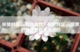 极赞网贷app如何贷款？极赞网贷app贷款的操作流程详细介绍