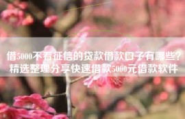 借5000不看征信的贷款借款口子有哪些？精选整理分享快速借款5000元借款软件