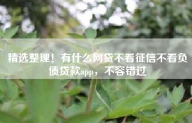 精选整理！有什么网贷不看征信不看负债贷款app，不容错过