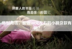 临时用钱，能借500元左右的小额贷款有吗？
