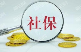 社保一年到底交多少钱？社保缴纳比例是怎么算的？