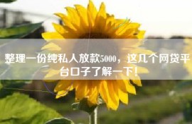 整理一份纯私人放款5000，这几个网贷平台口子了解一下！