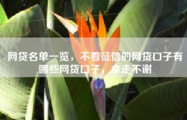 网贷名单一览，不看征信的网贷口子有哪些网贷口子，拿走不谢