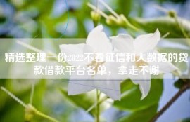 精选整理一份2022不看征信和大数据的贷款借款平台名单，拿走不谢