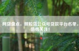 网贷盘点，微粒贷公众号贷款平台名单，值得关注！