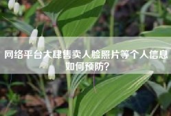 网络平台大肆售卖人脸照片等个人信息 如何预防？