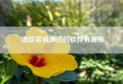 借款容易通过的软件有哪些