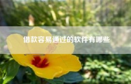借款容易通过的软件有哪些
