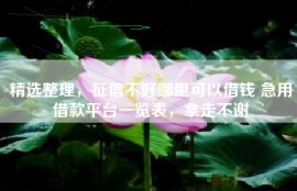 精选整理，征信不好哪里可以借钱 急用借款平台一览表，拿走不谢