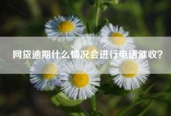 网贷逾期什么情况会进行电话催收？