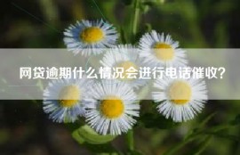 网贷逾期什么情况会进行电话催收？