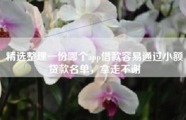 精选整理一份哪个app借款容易通过小额贷款名单，拿走不谢
