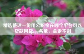 精选整理一份用公积金在哪个平台可以贷款网贷app名单，拿走不谢