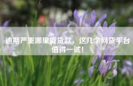 逾期严重哪里能贷款，这几个网贷平台值得一试！