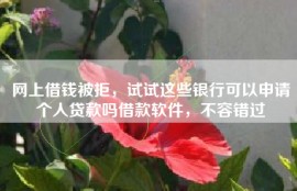 网上借钱被拒，试试这些银行可以申请个人贷款吗借款软件，不容错过
