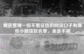 精选整理一份不看征信的网贷口子有哪些小额贷款名单，拿走不谢