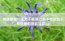 精选整理！千万不能错过的不看征信不看负债的贷款贷款app