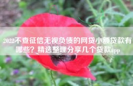 2022不查征信无视负债的网贷小额贷款有哪些？精选整理分享几个贷款app