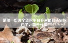 整理一份哪个贷款平台容易借到钱借款口子，简云分享！