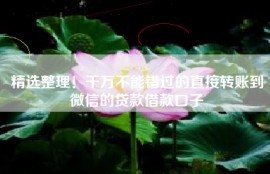 精选整理！千万不能错过的直接转账到微信的贷款借款口子