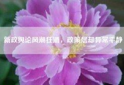 新政舆论风潮狂涌，政策层却异常平静