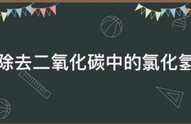 怎样除去二氧化碳中的氯化氢气体
