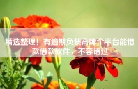精选整理！有逾期负债高哪个平台能借款借款软件，不容错过