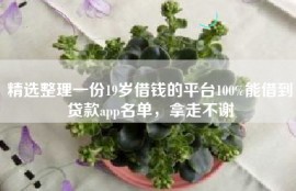 精选整理一份19岁借钱的平台100%能借到贷款app名单，拿走不谢