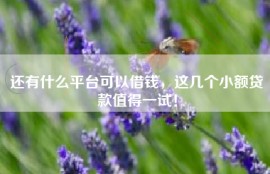 还有什么平台可以借钱，这几个小额贷款值得一试！