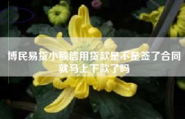 博民易贷小额信用贷款是不是签了合同就马上下款了吗