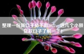 整理一份新口子必下款2022，这几个小额贷款口子了解一下！