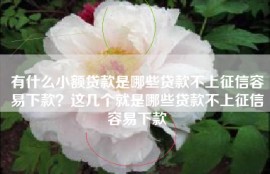 有什么小额贷款是哪些贷款不上征信容易下款？这几个就是哪些贷款不上征信容易下款