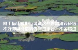 网上借钱被拒，试试这些着急用钱征信不好哪里能借到钱网贷平台，不容错过