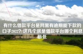 有什么借款平台是网黑有逾期能下款的口子2022？这几个就是借款平台哪个利息最低