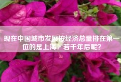 现在中国城市发展按经济总量排在第一位的是上海，若干年后呢？