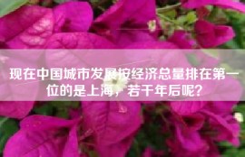 现在中国城市发展按经济总量排在第一位的是上海，若干年后呢？