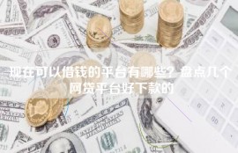 现在可以借钱的平台有哪些？盘点几个网贷平台好下款的