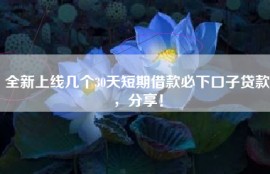 全新上线几个30天短期借款必下口子贷款，分享！