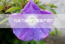 巧克力是那个国家产的？